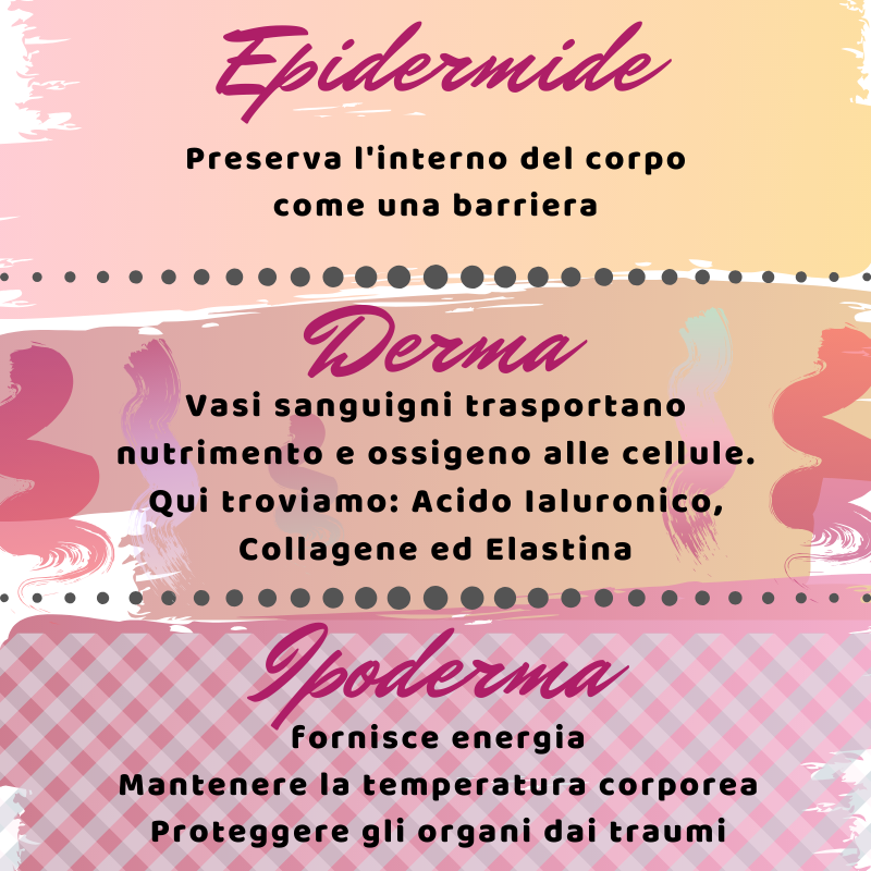 Infografica strati delle pelle