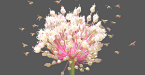 Legge dell'attrazione